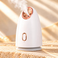 Warm Mist Facial Steamer